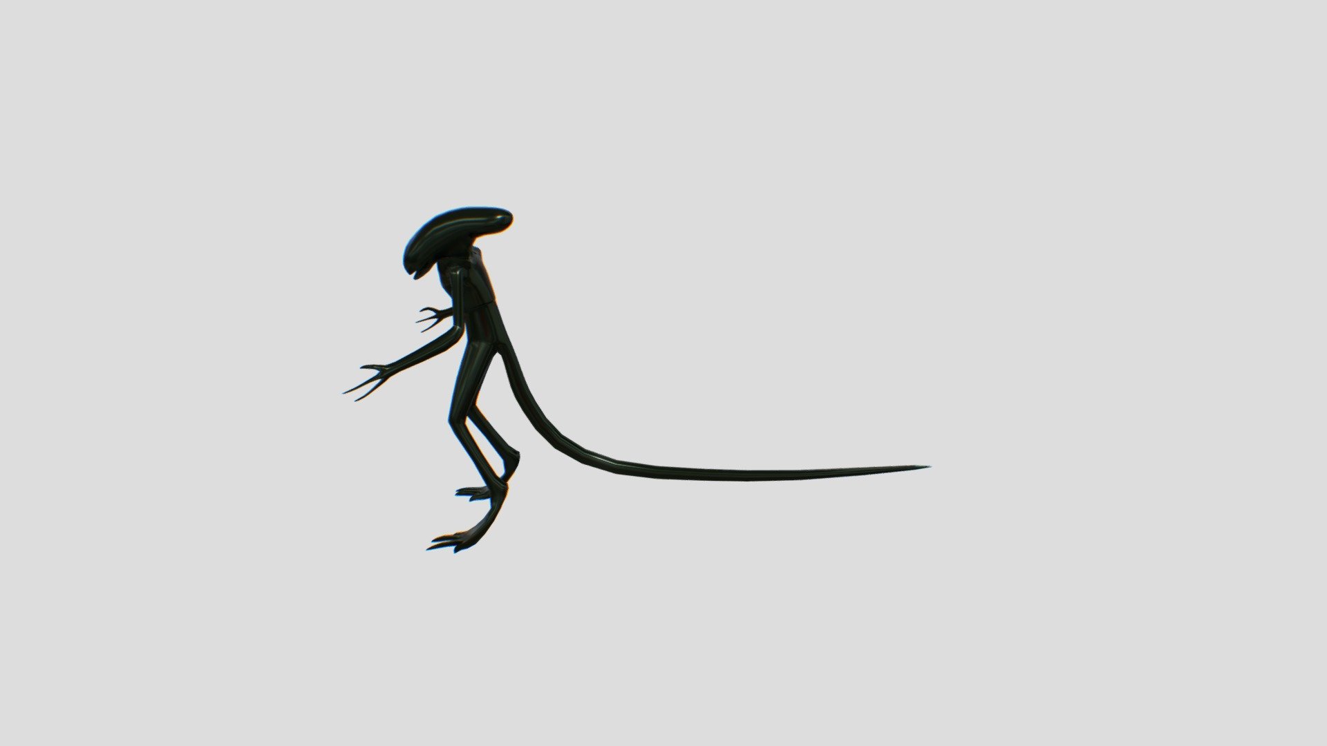Xenomorph