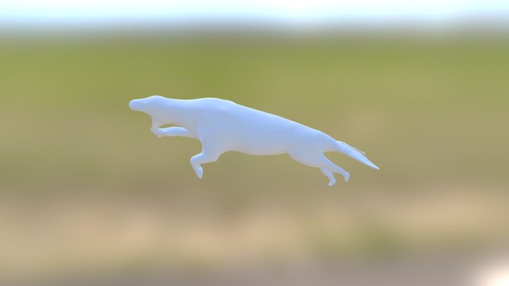 Leopard Seal Local Files 3D Model