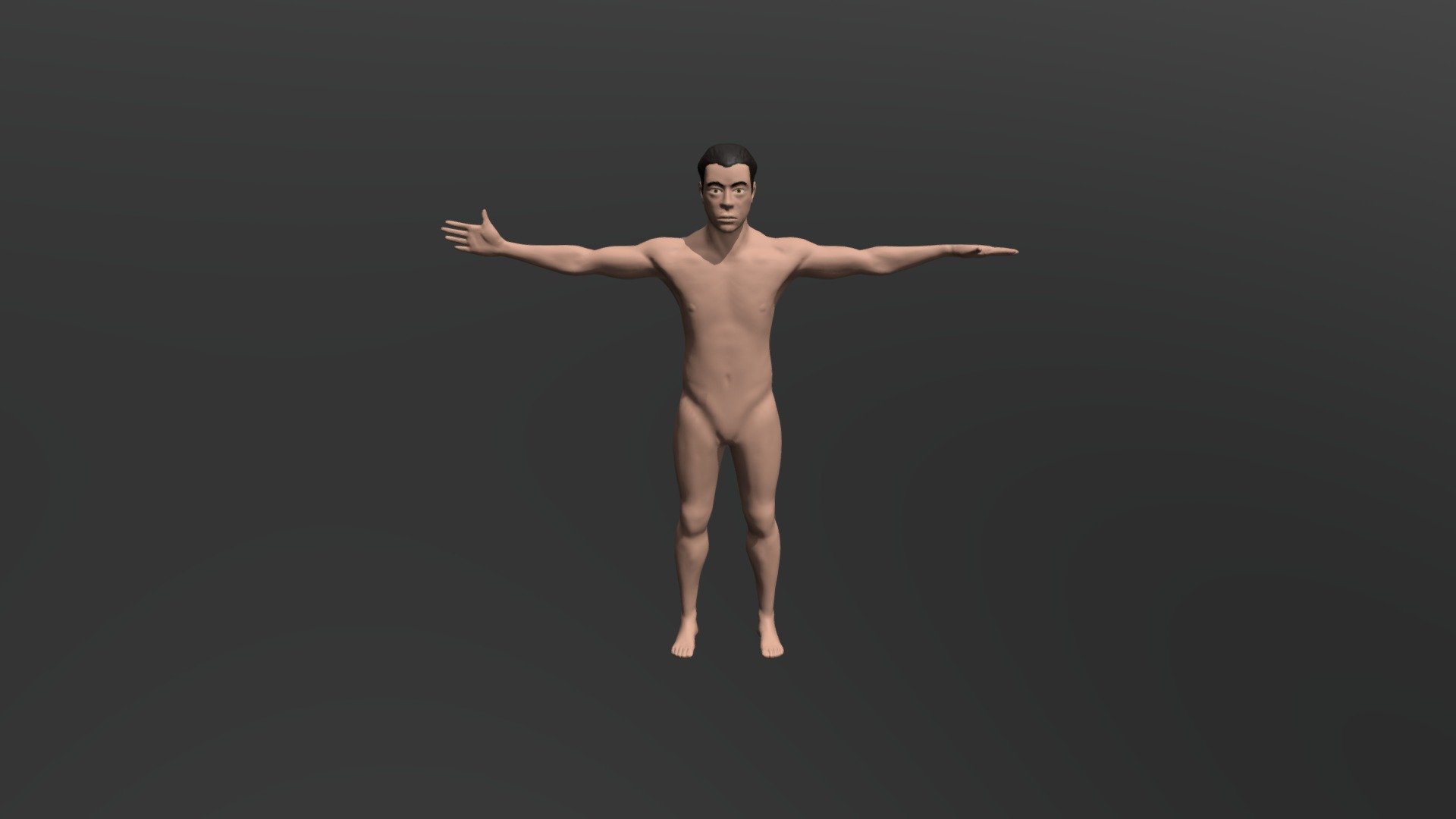 T-Pose full body rigged
