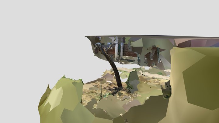 Дерево 3D Model