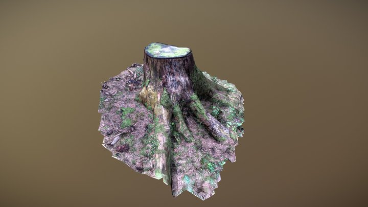 Tree trunk with moss 3D Model