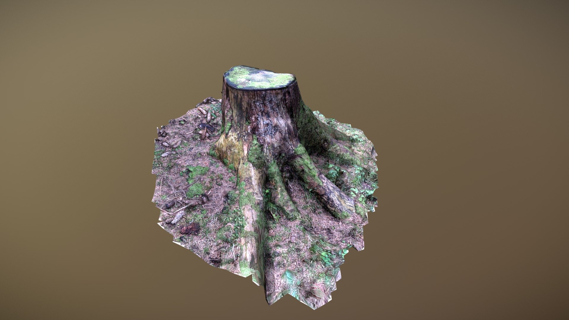 Tree trunk with moss