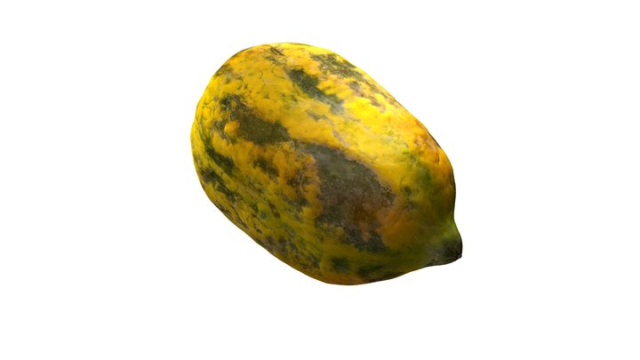 Papaya 3D Model