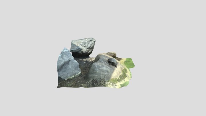 realTurtle1 3D Model