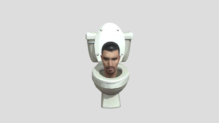 Faulty Toilet 3D Model