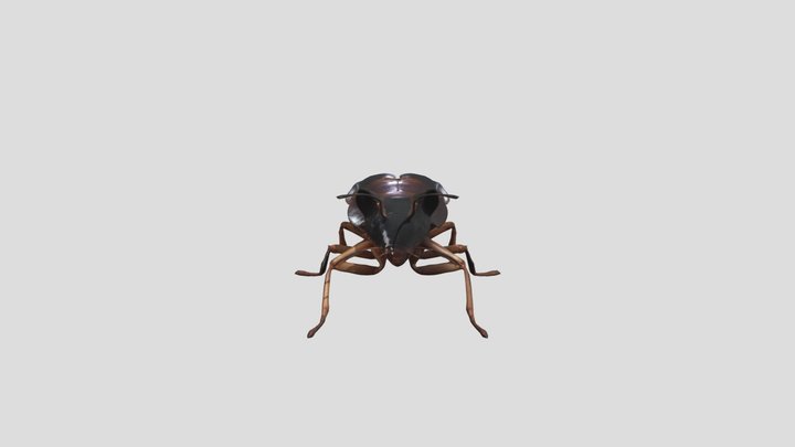 Cat_ Cockroach_ Hybrid__0210105933_texture_fbx 3D Model