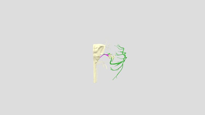 Question 1 3D Model