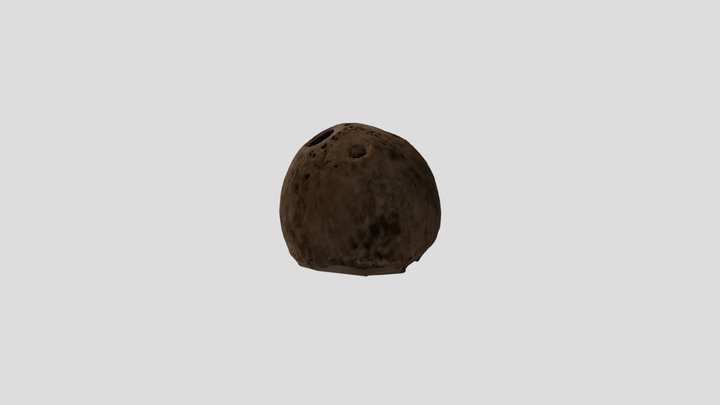 Dried coconut shell 3D Model