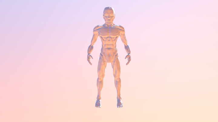 Male_Base_V2 3D Model