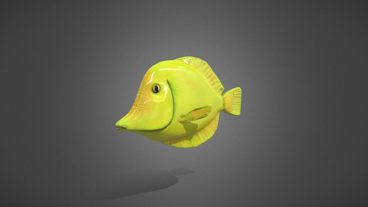 Yellow Tang 3D Model