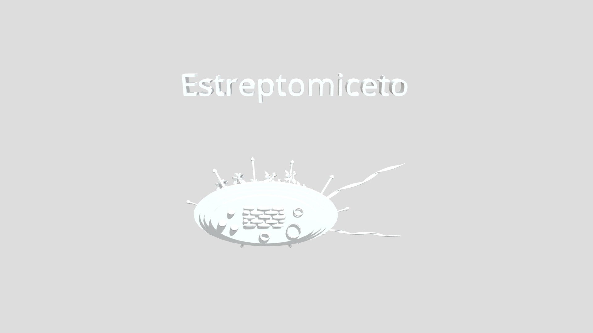 Estreptomiceto