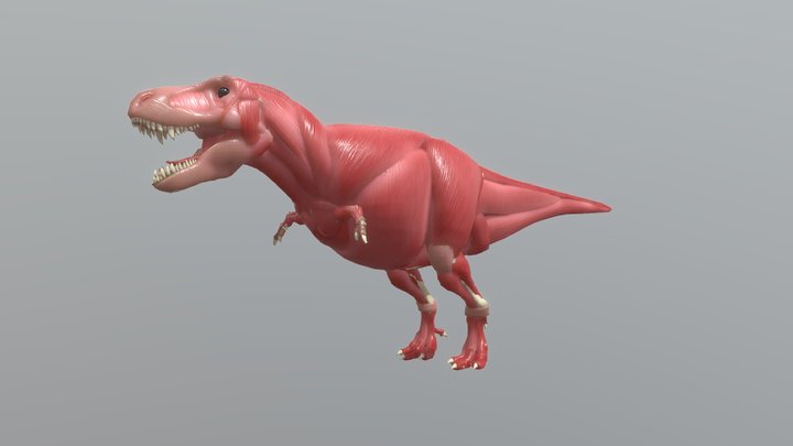 Layers of Tyrannosaurus Rex 3D Model