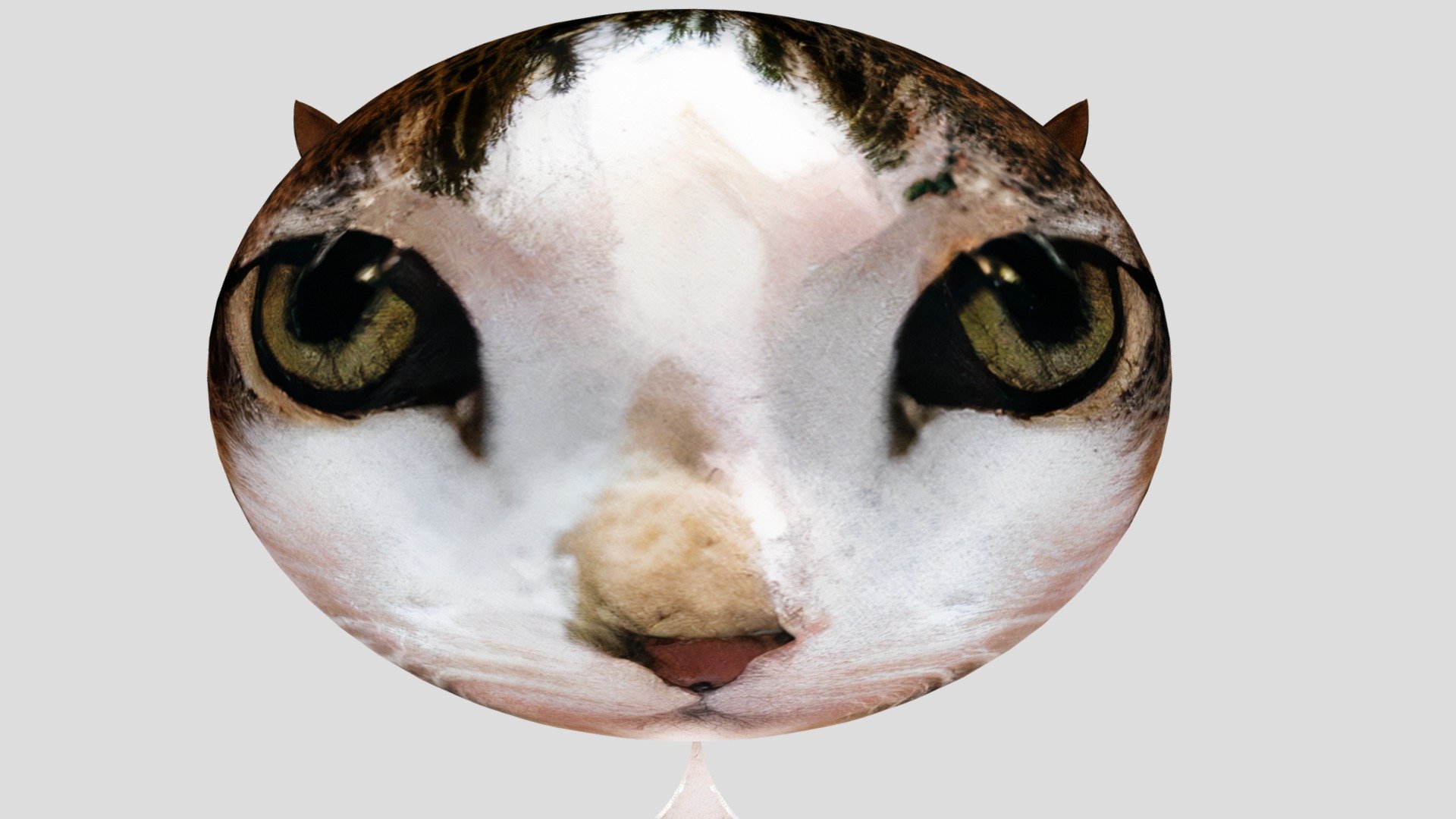 Wilson Baloon Cat