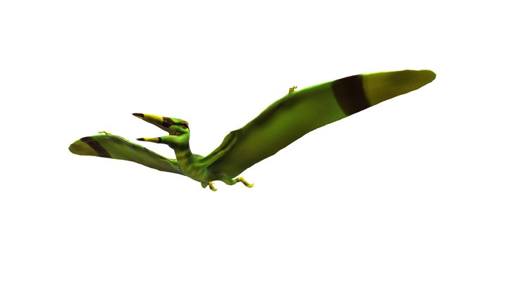Pterosaurus