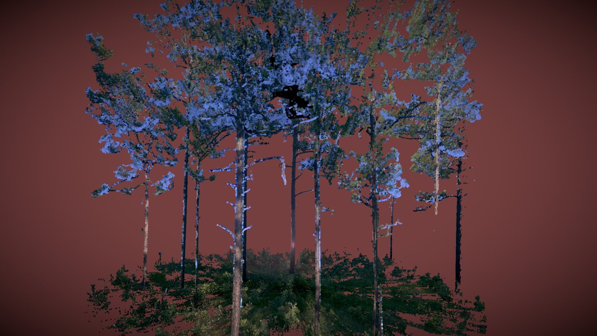 C15_Plot_2_cropped
