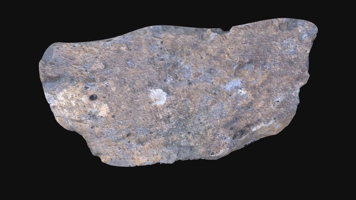 Camino Lercaro IIc 3D Model