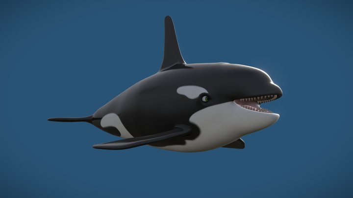 Cartoon Killer Whale Orca 3D Model