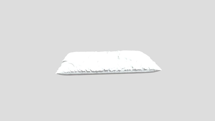 Wrinkled Pillow 3D Model