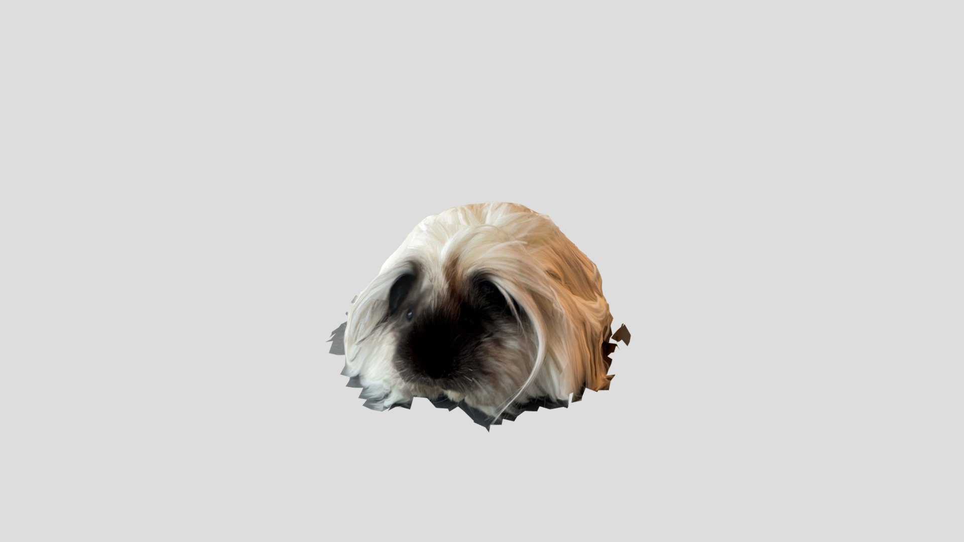 Wischmob