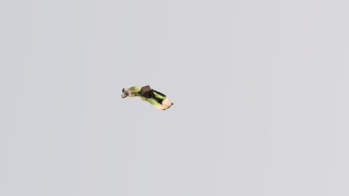 The Auld Smiddy 3D Model