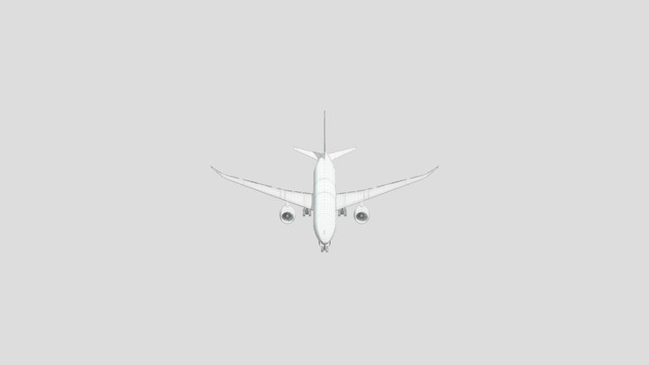 Boeing 787-10 Wireframe 3D Model