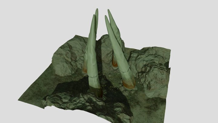 Toughened Spear Roots 3D Model