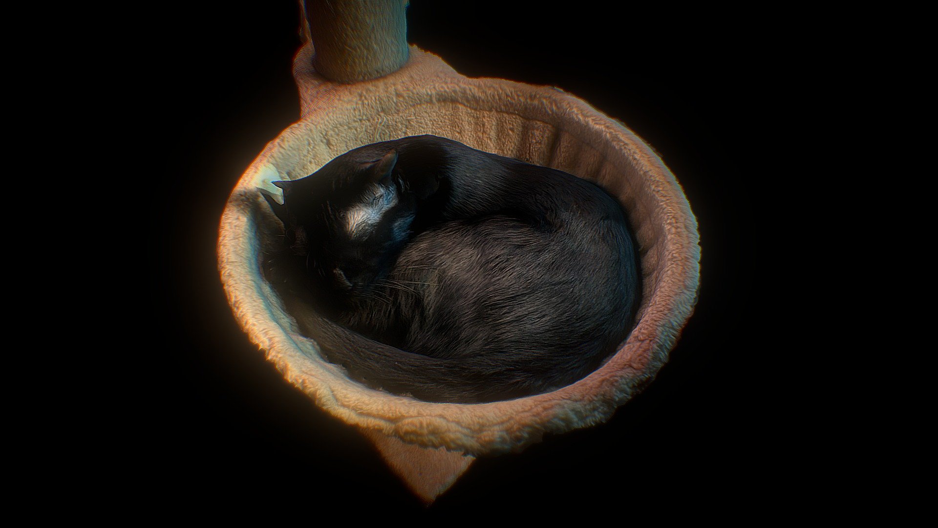 another spot for the lazy kitty