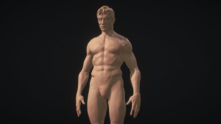 Male Anatomy Practice 3D Model