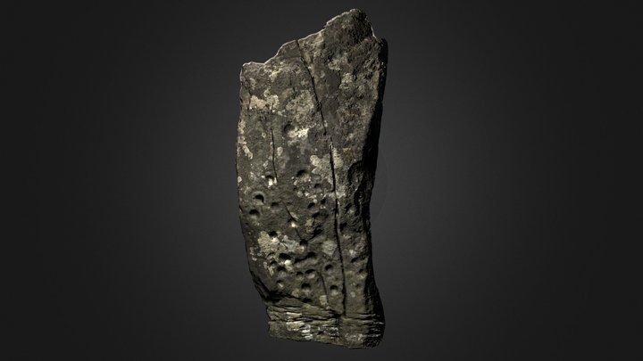 Nether Largie, Central Standing Stone 3D Model