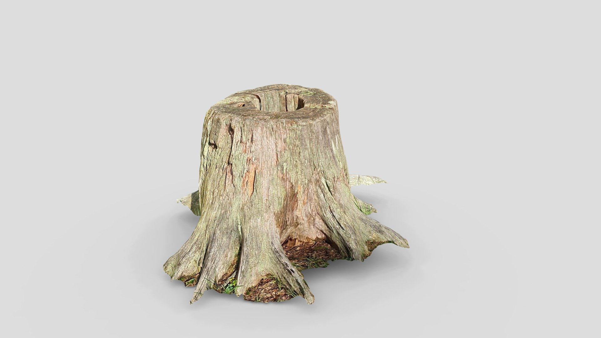 Tree stump (3d scan) — Sketchfab embed 3D viewer