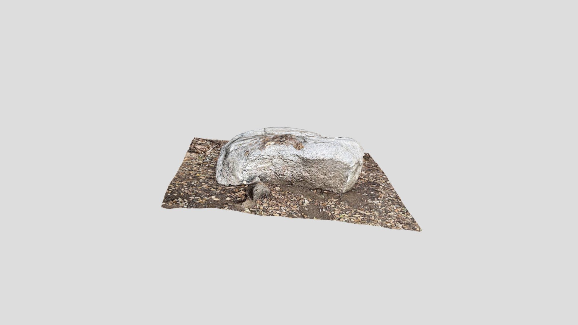 Rock