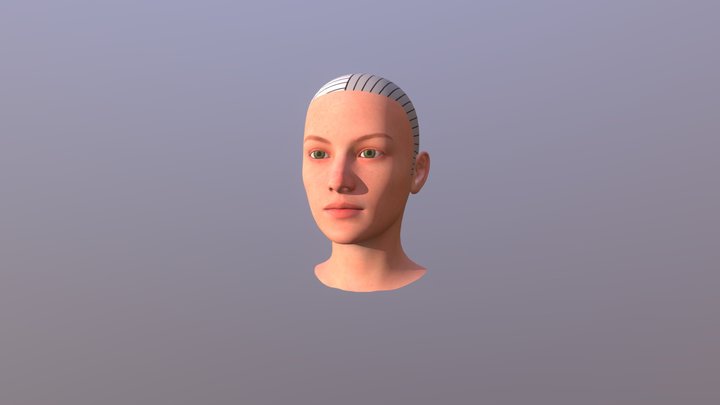 Scheda Testa Separazioni 3D Model
