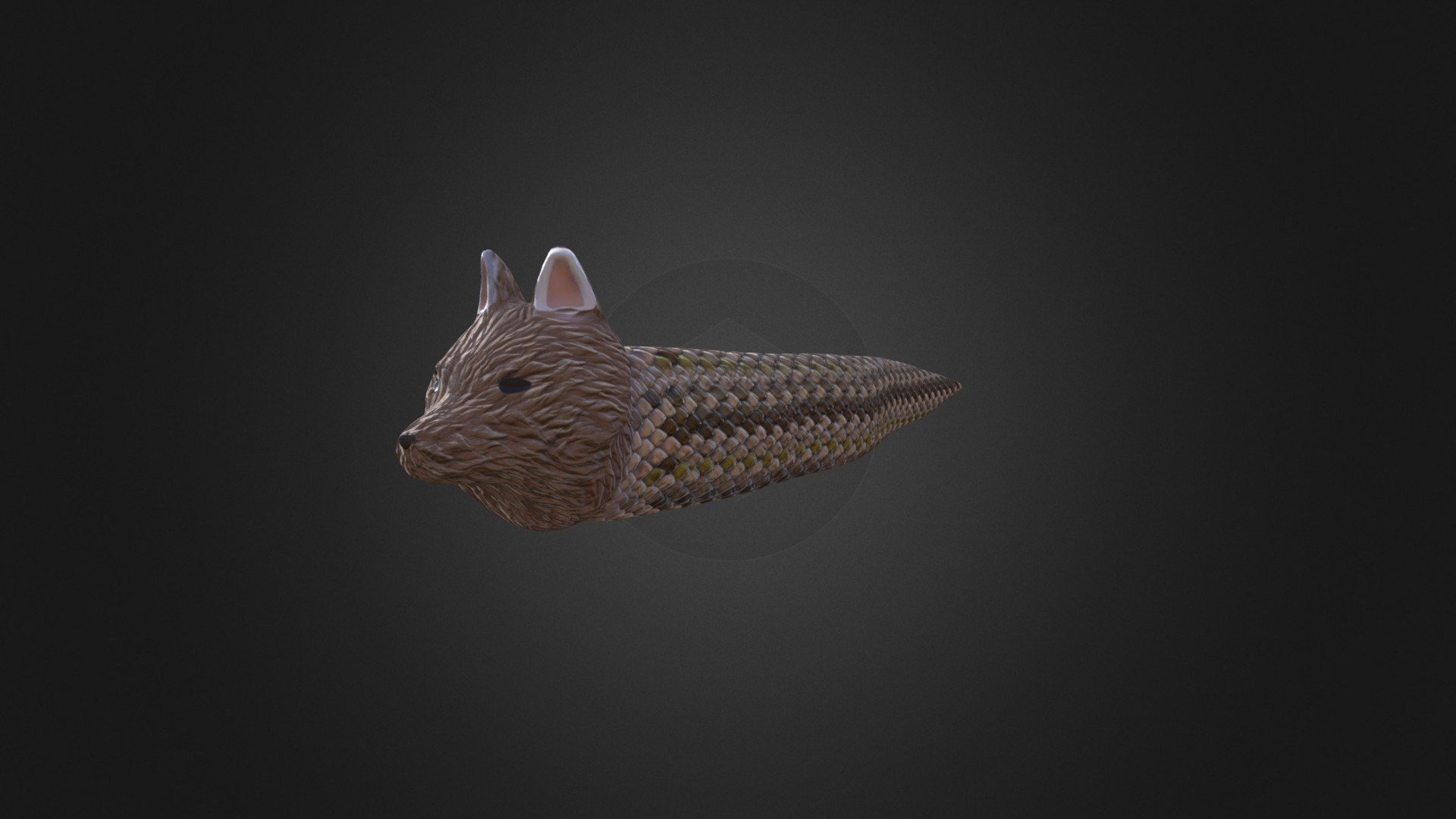 Aarhichana