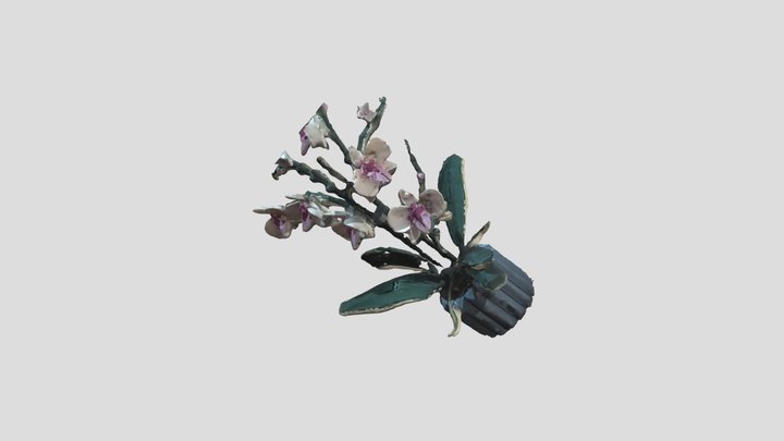 Video (Orchidaceae) 3D Model