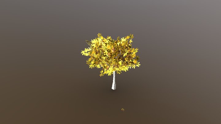 Maple Tree 3D Model