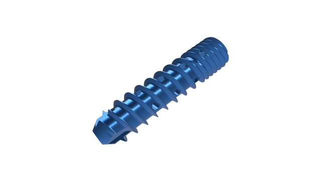 SacroFuse 3D Model