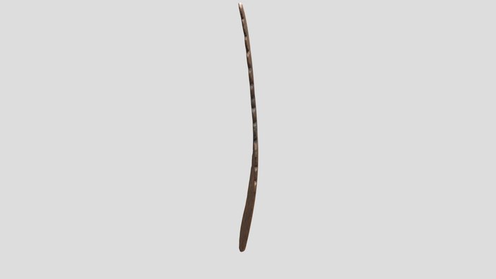 Costella 3D Model