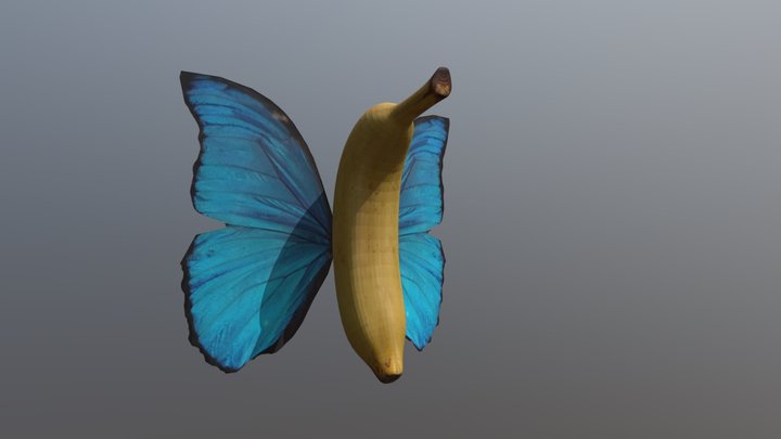 Banana Fly Animation 3D Model