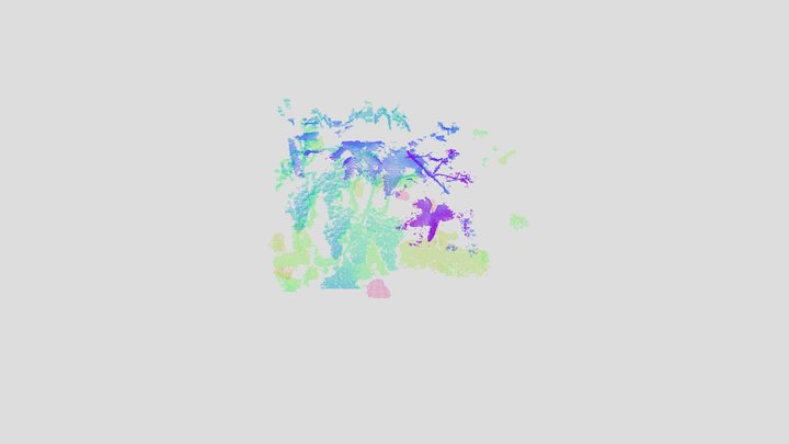 Grape Point Cloud 3D Model