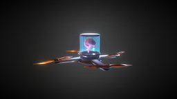 Brain in a Drone 3D Model