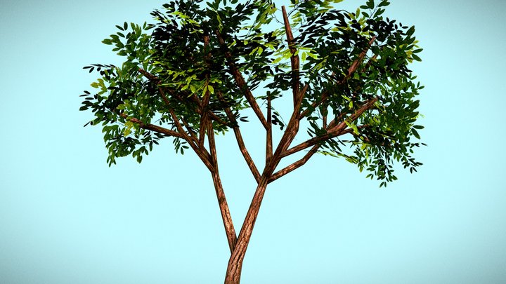Low Poly Tarata Tree 3D Model