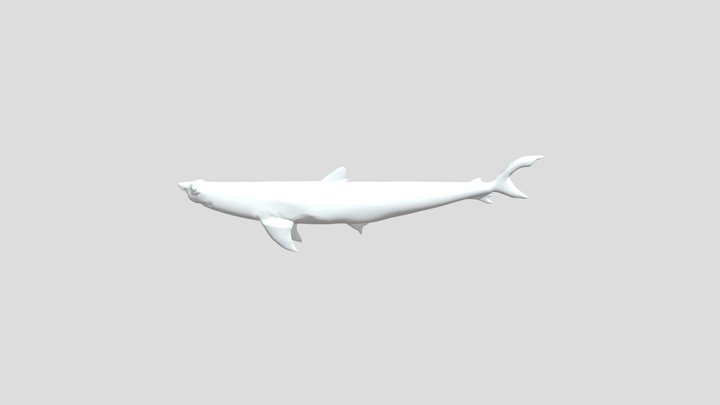 2ndshark2 3D Model