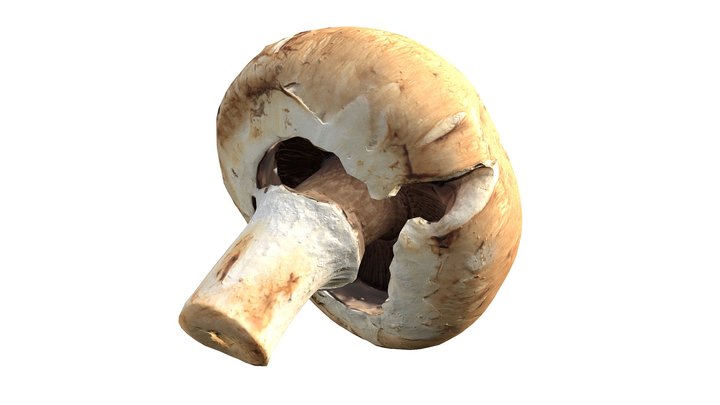 Crimini Mushroom (1/2) 3D Model