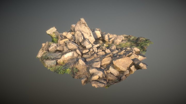 Photo scanned Rocks 1 3D Model