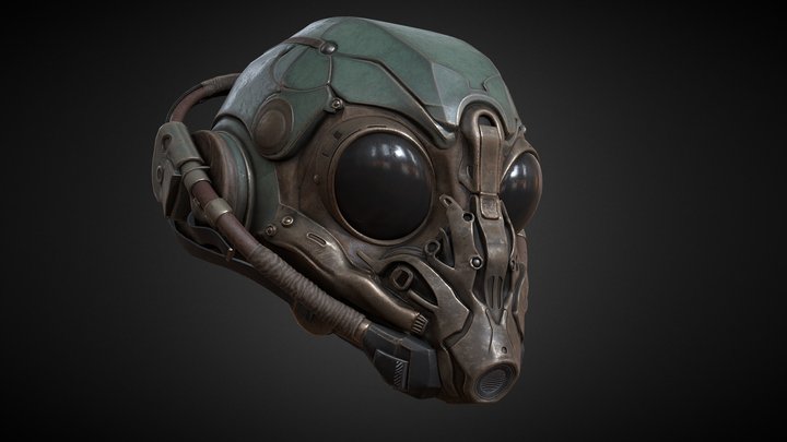 Pilot SF Helmet - Entomorph 3D Model