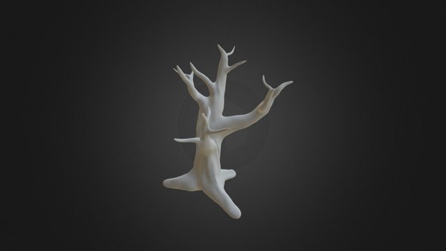 Tree 3D Model