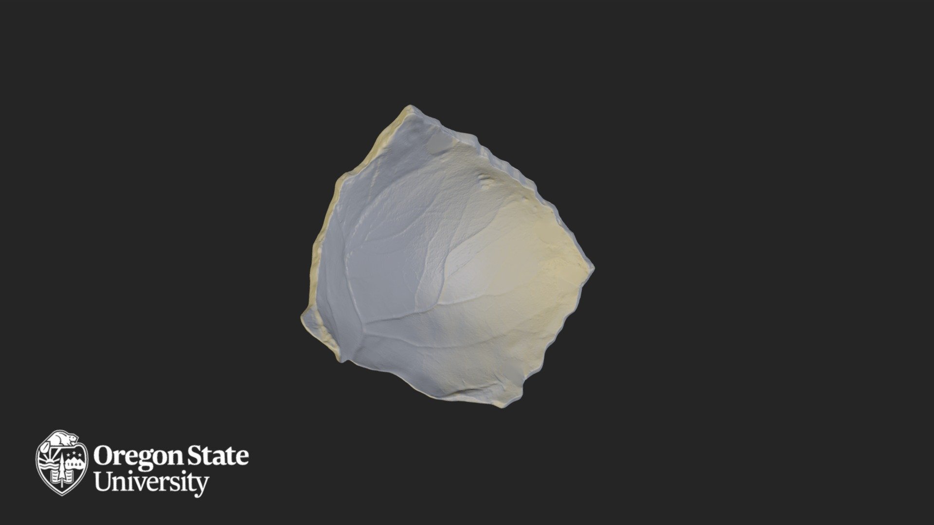 Parietal Right
