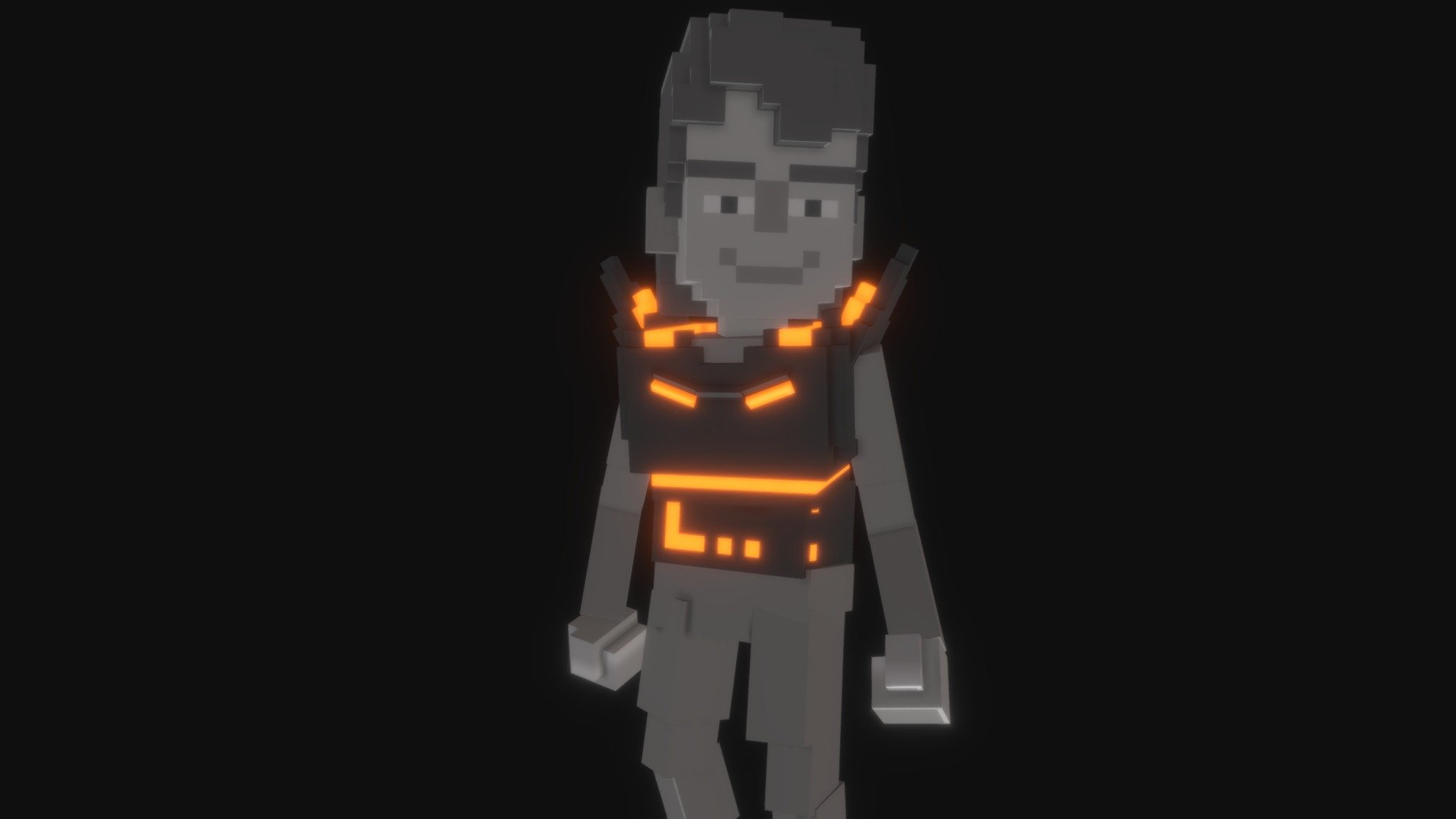 HODL VEST