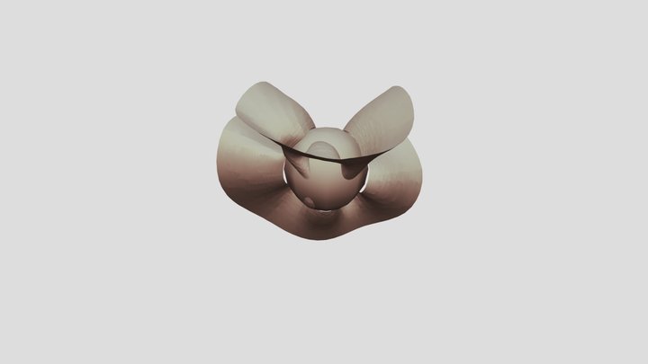 A 3D visualization of solar coronal mag. 3D Model