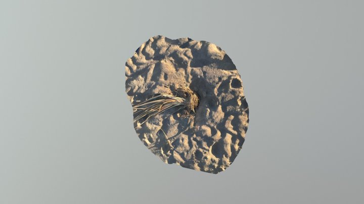 Plant 3D Model